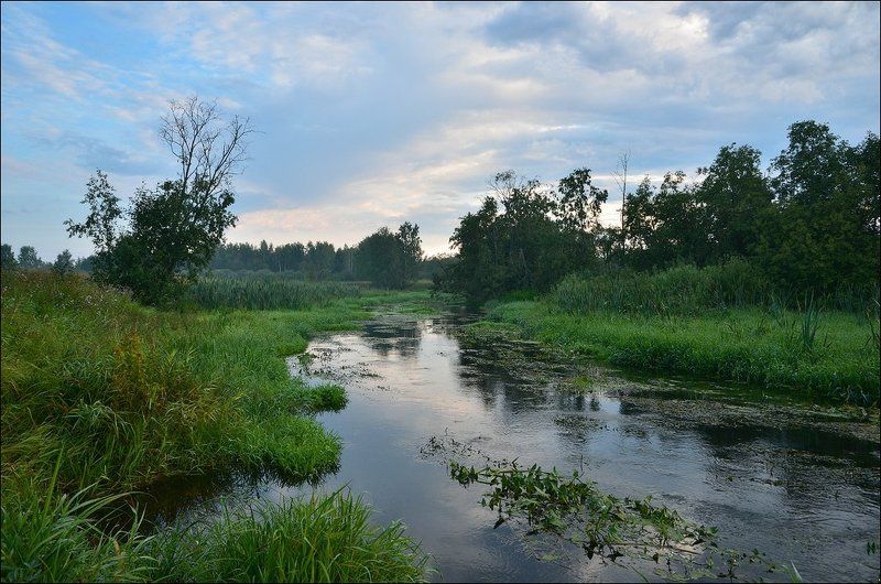 утро, река, лето, август  фото превью