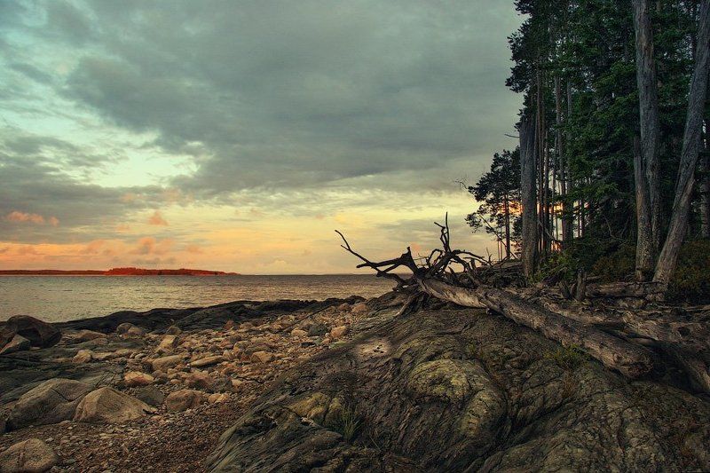 пейзаж, вода, река, карелия, лес, остров, камень, закат, небо, отдых, dyadyavasya  фото превью