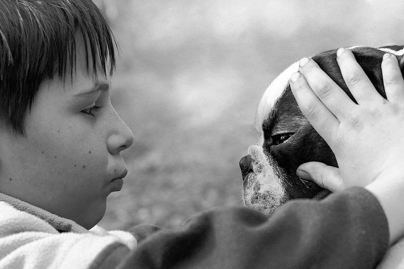 _ фото превью