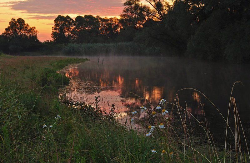 тишина, река, рассвет  фото превью