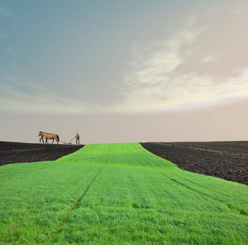 , Caras Ionut