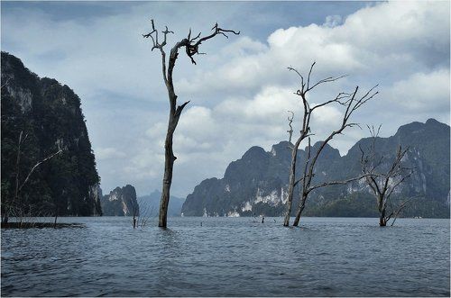 несбывшееся