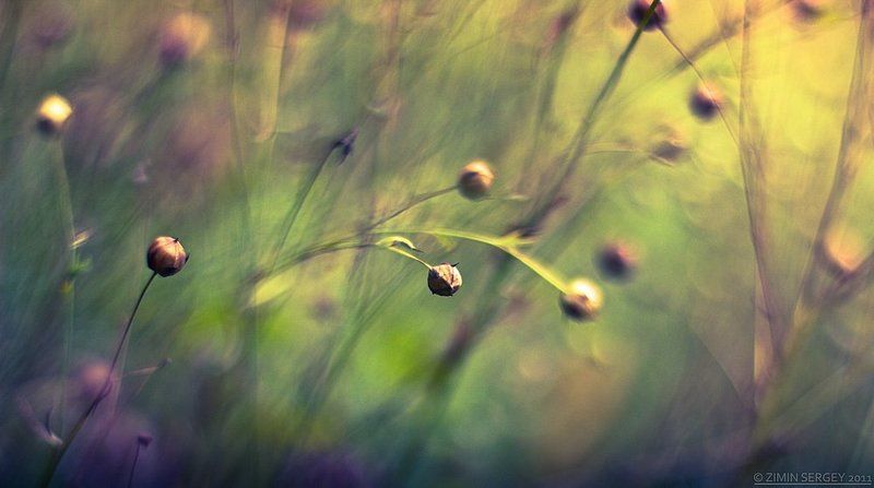 ... фото превью
