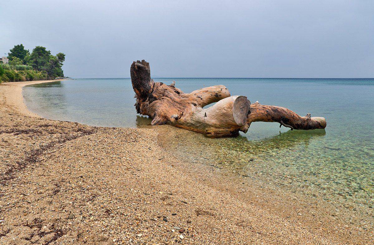 , Василий Мулюкин