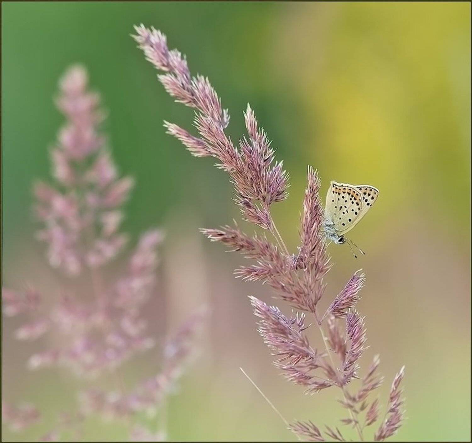 , Евгений Кирилкин.