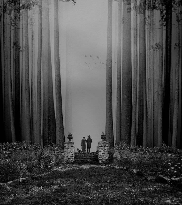 tree, grass, way, stairs, bricks, long, couple, dog, travel, walk, birds, sky, Caras Ionut