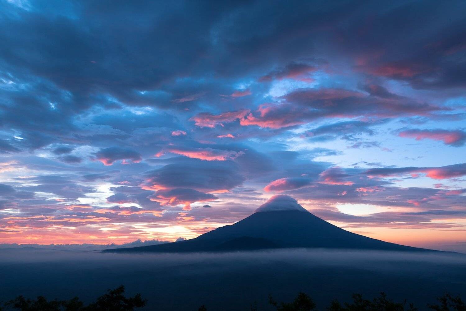 , Надежда Звягина / New Zealand