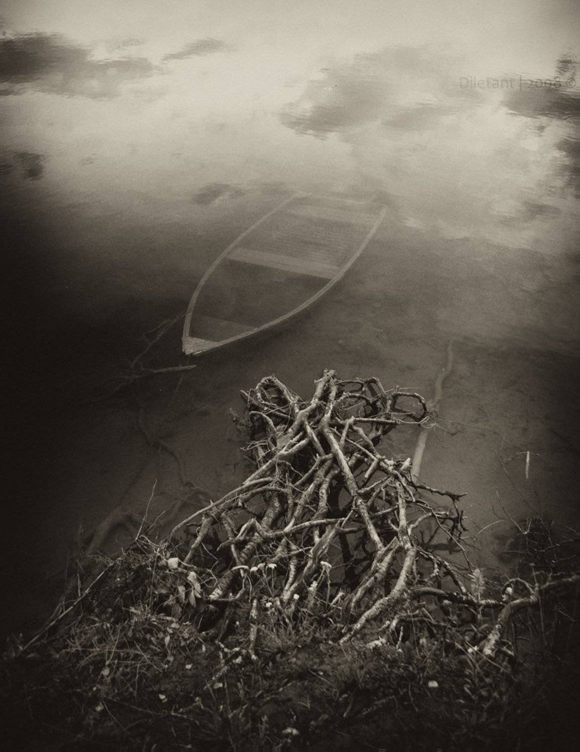 , Павел Жданов