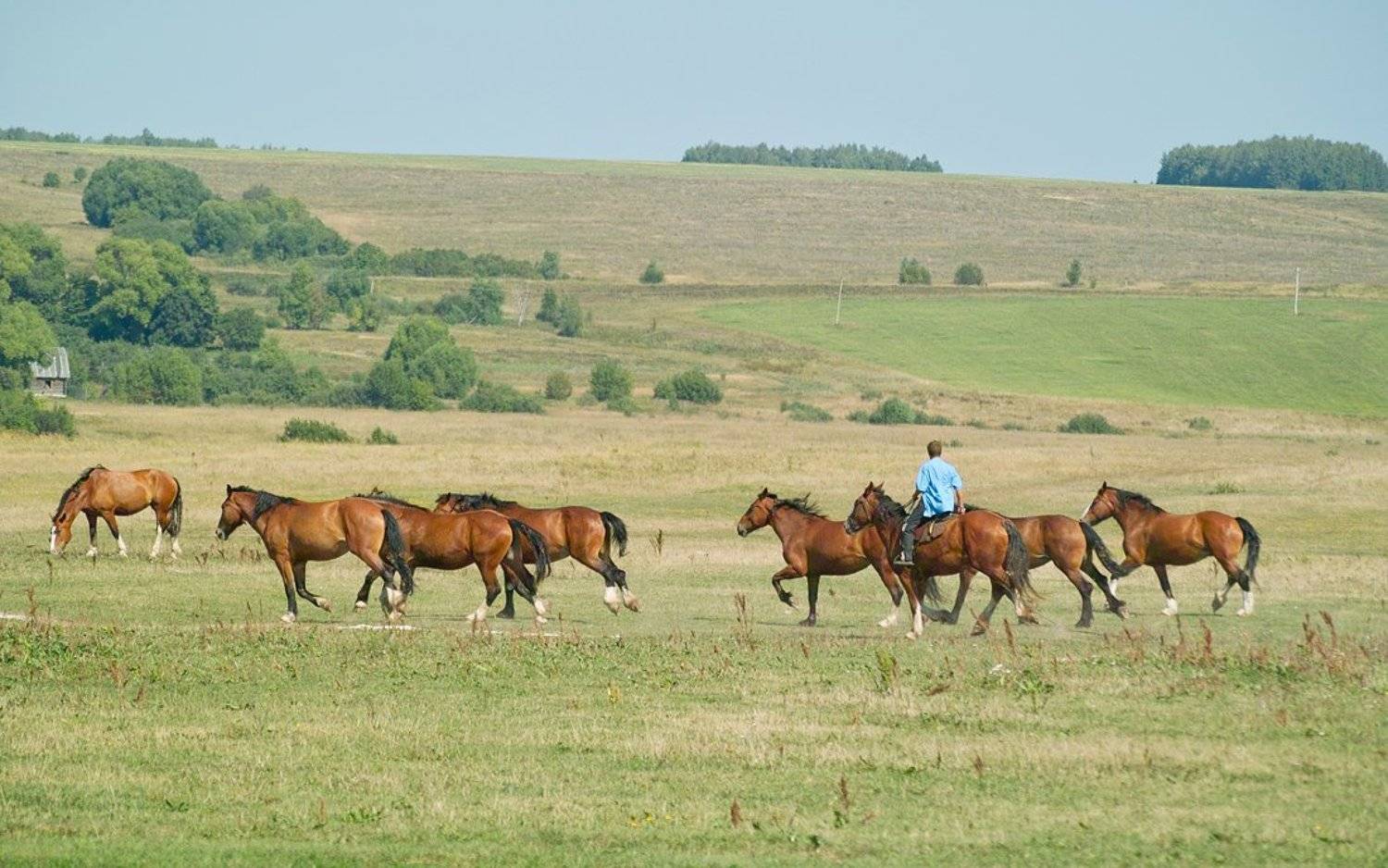 , Вадим Казаков