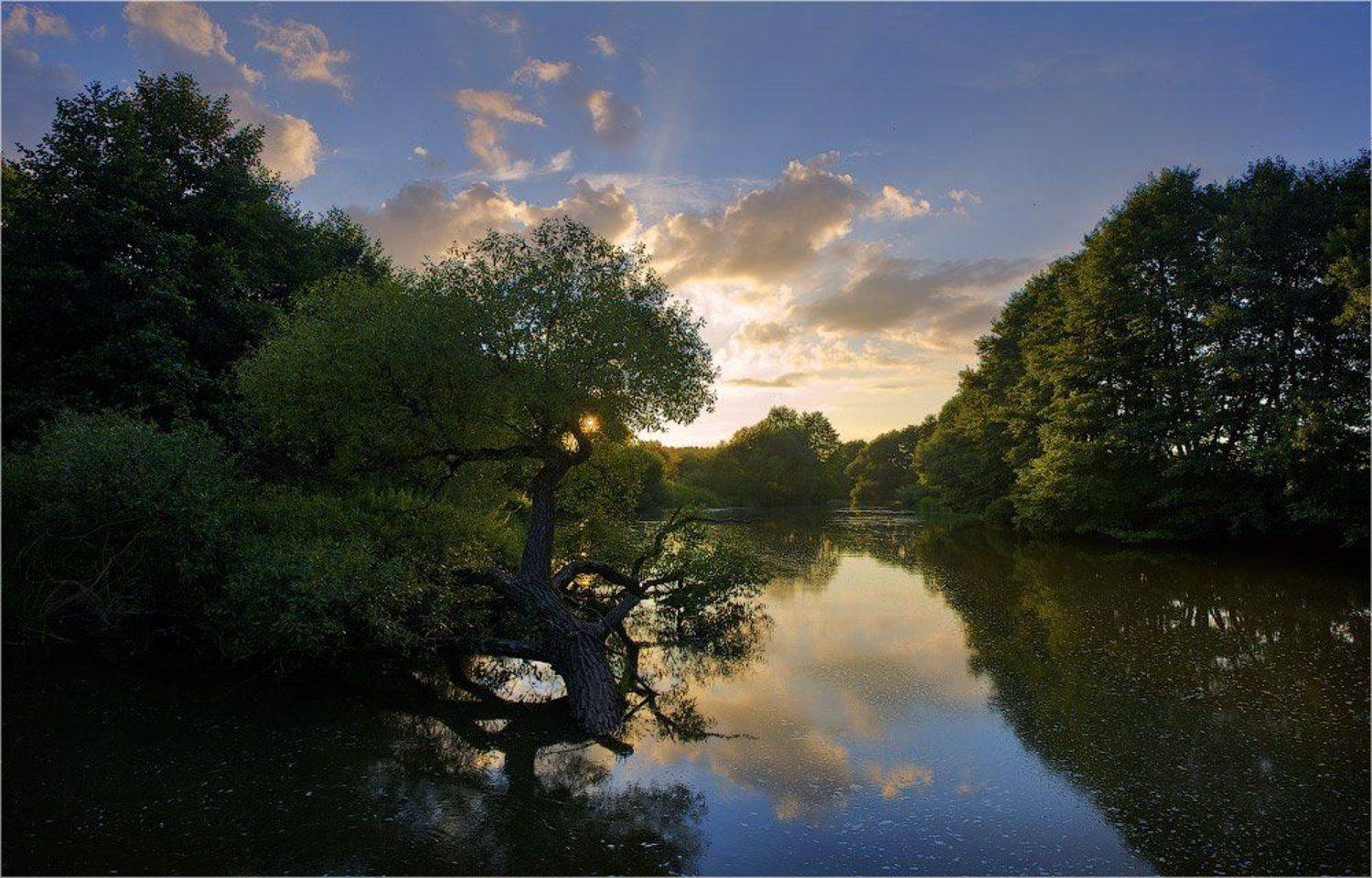 река, закат, дерево, Nethunter