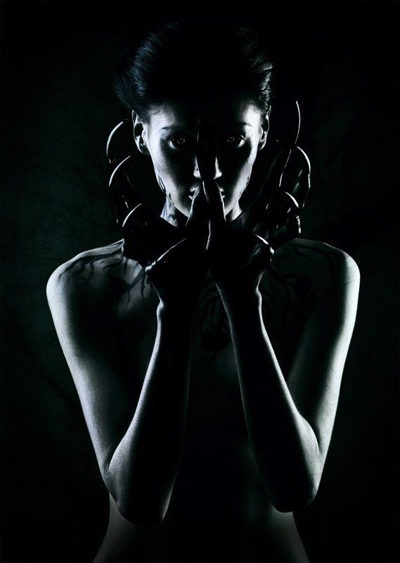 Венерина мухоловка фото превью