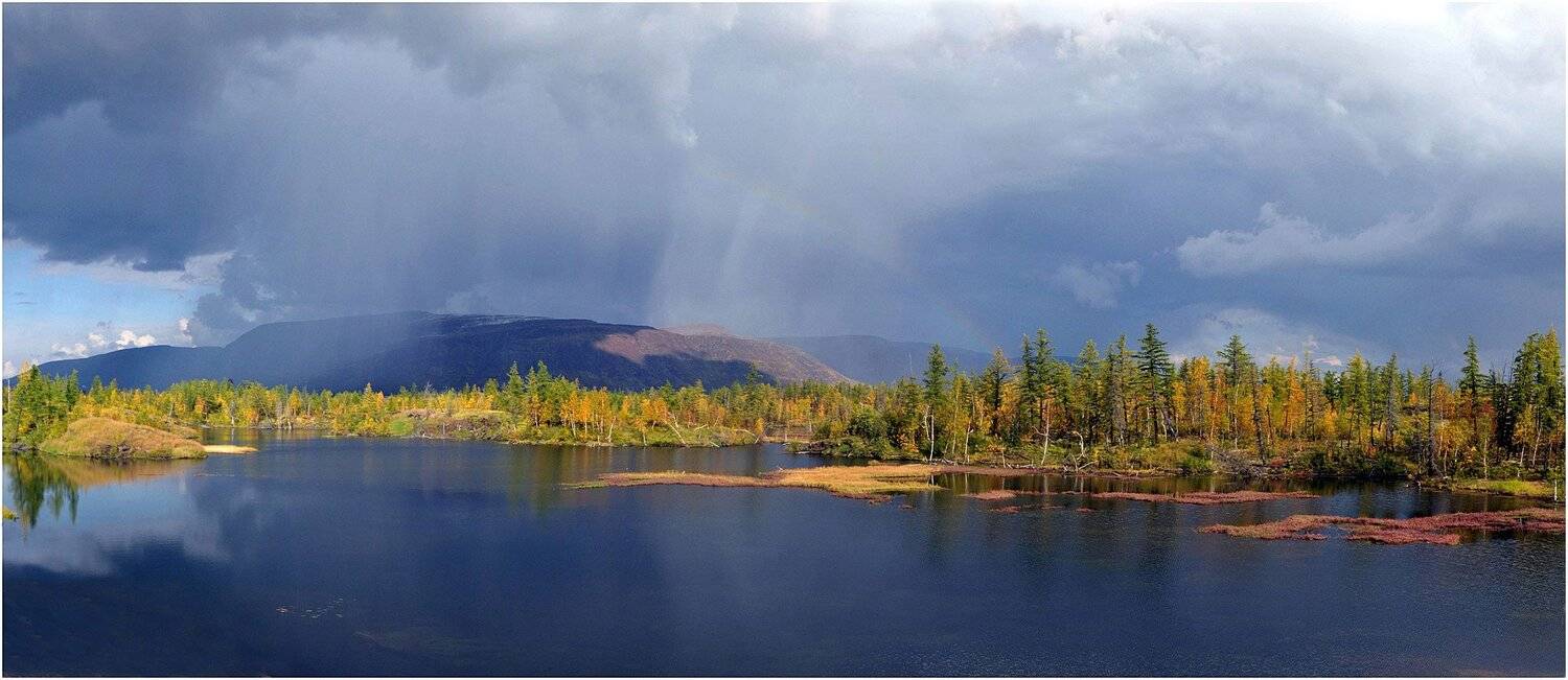 таймыр, Vladimir