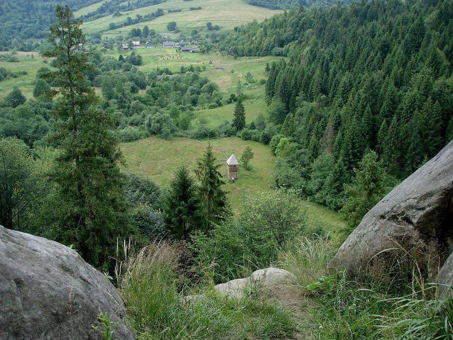 , Николай Шахманцир