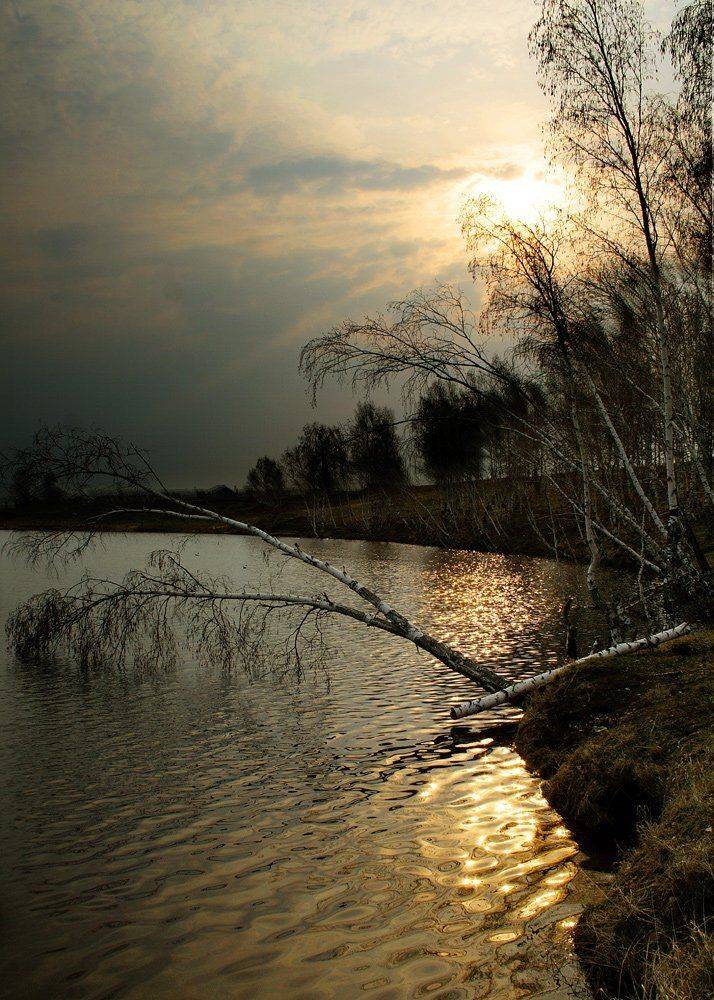 , Николай Морский