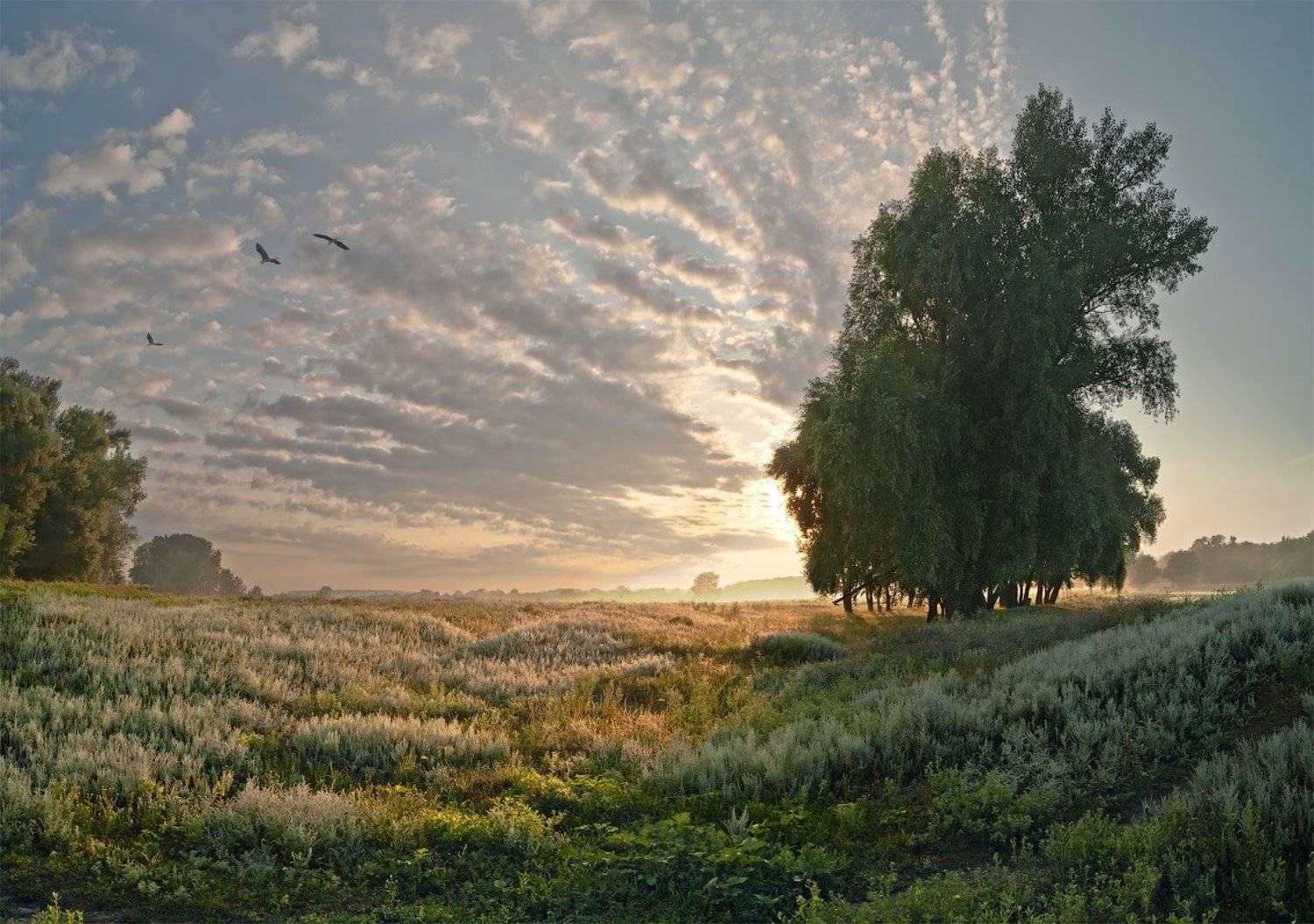 , Сергей Иванов