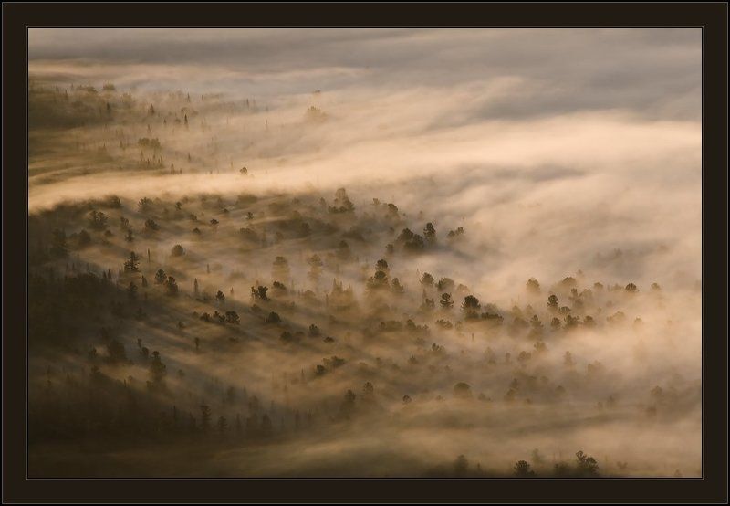 туман, утро, мустаг, шерегеш, шория Утро Горной Шории фото превью