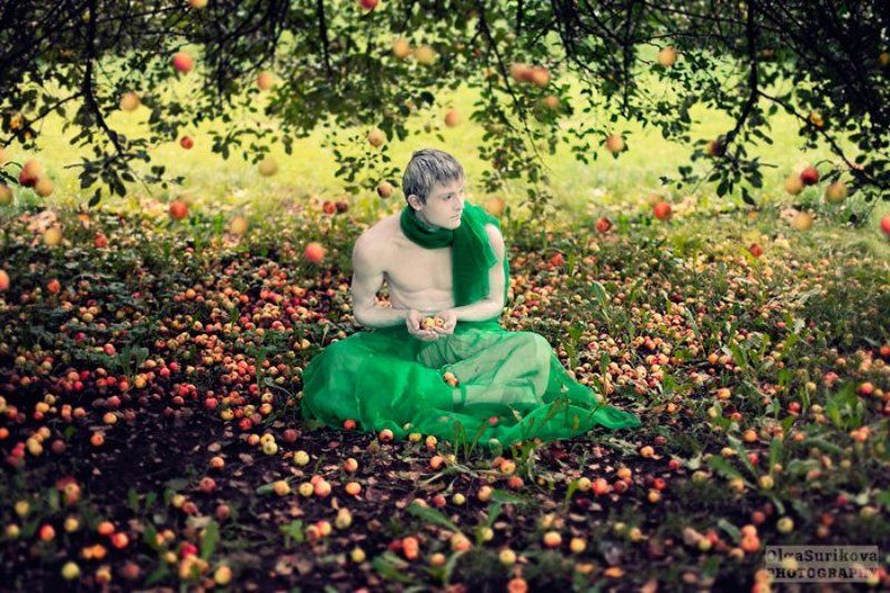 Яблоки фото превью