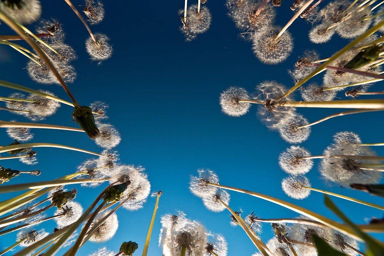 , Василий Мулюкин