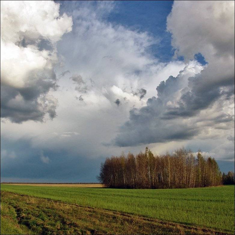 рязанщина, весна, небо, Тарасов Алексей