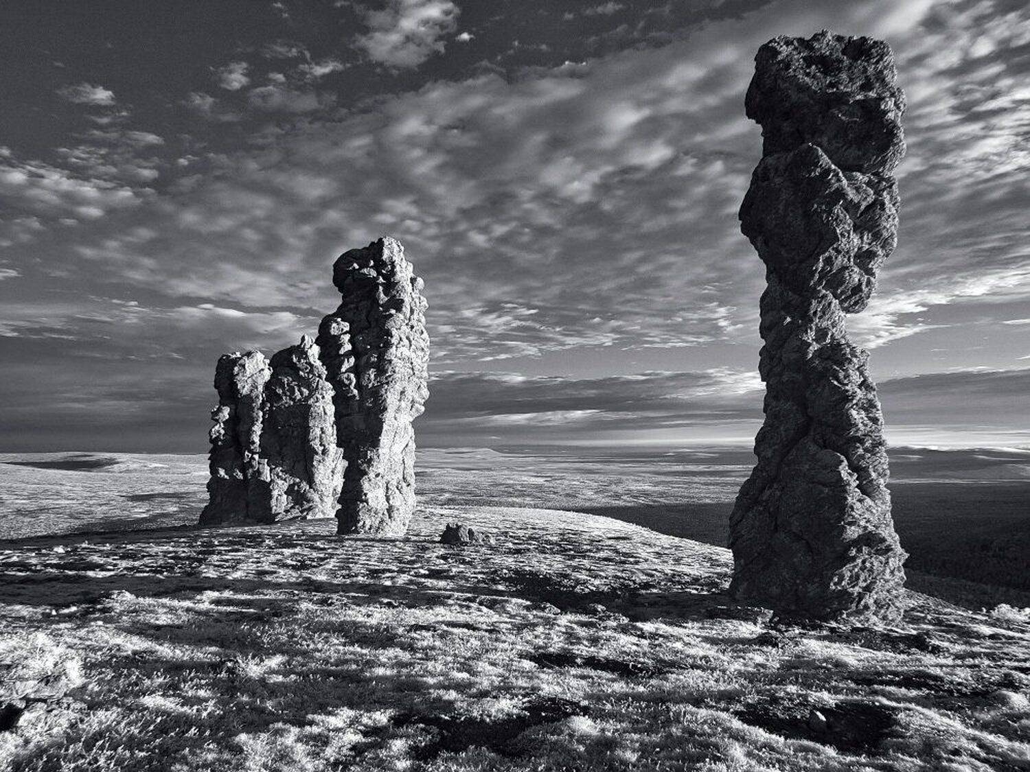 , Максим Евдокимов