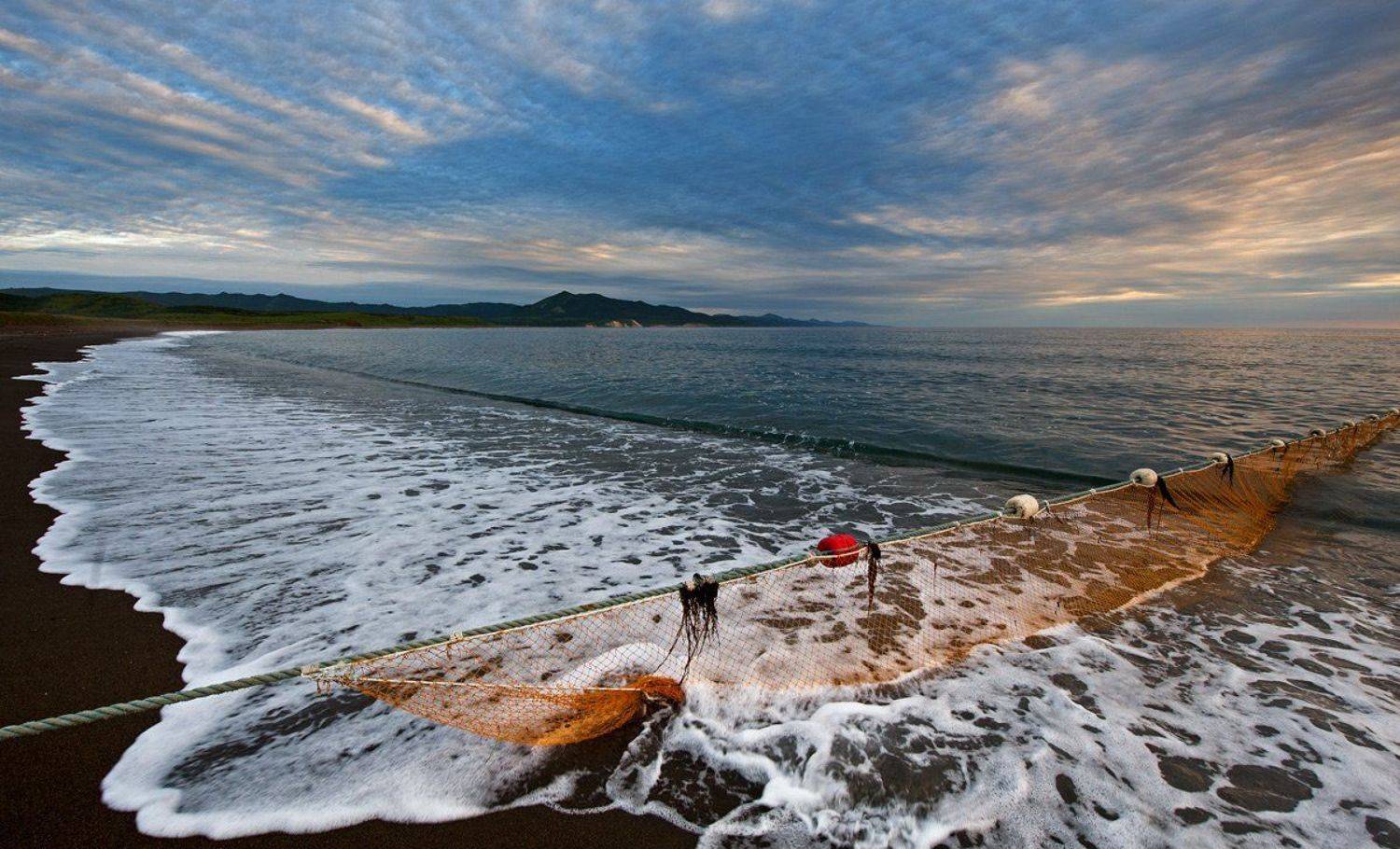 , Анатолий Страхов