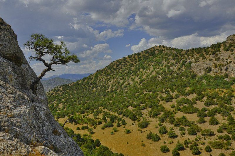 * фото превью