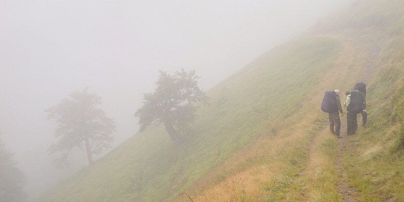 ... фото превью