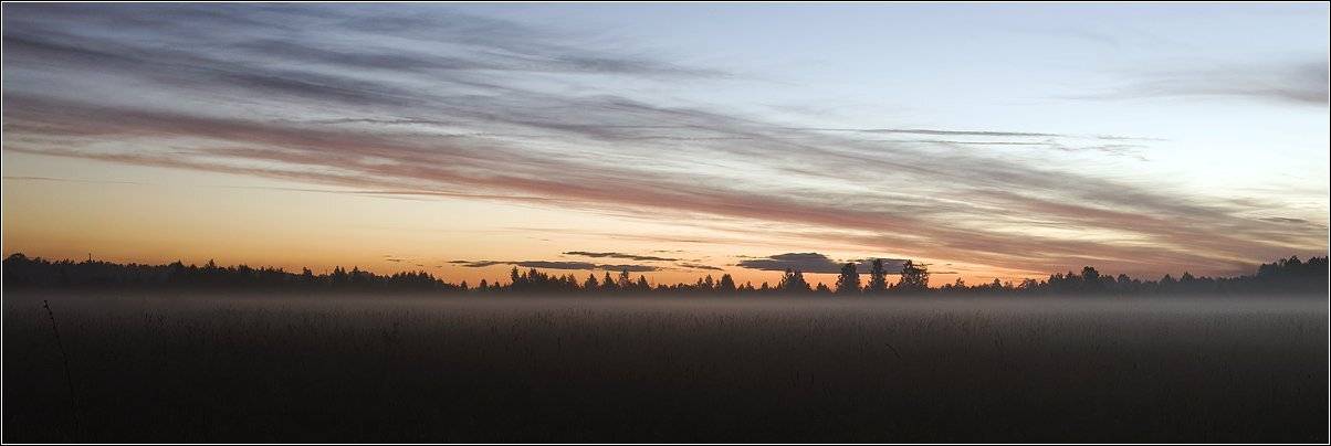 , Владимир Жданов