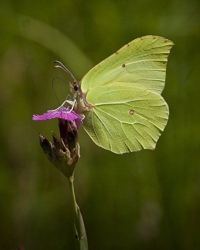 Воскресные прогулки