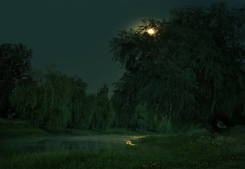 Тиха украинская ночь фото превью