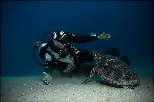 Одноклассники.ру