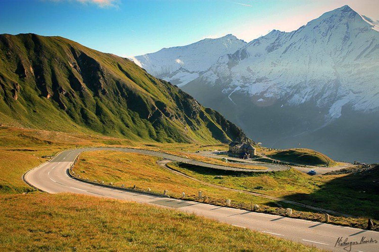 , Mindaugas Navickas