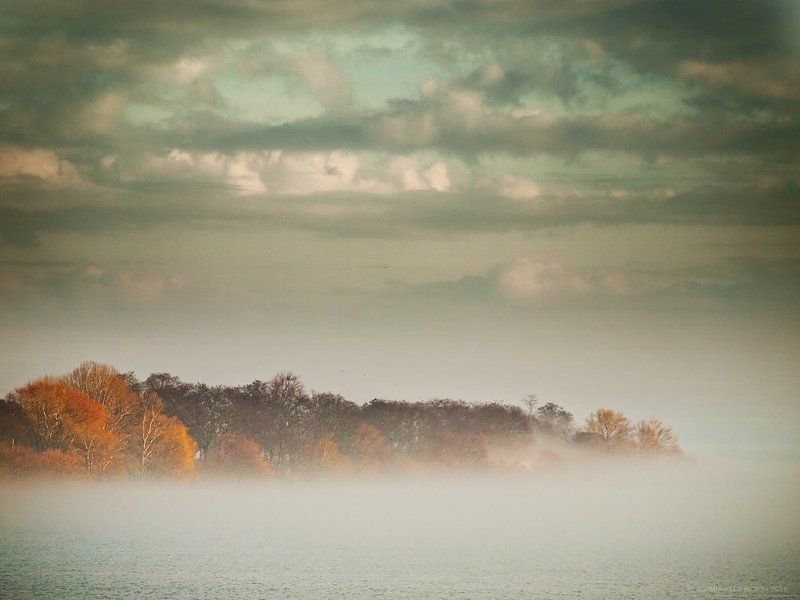 Мои фотографии фото превью