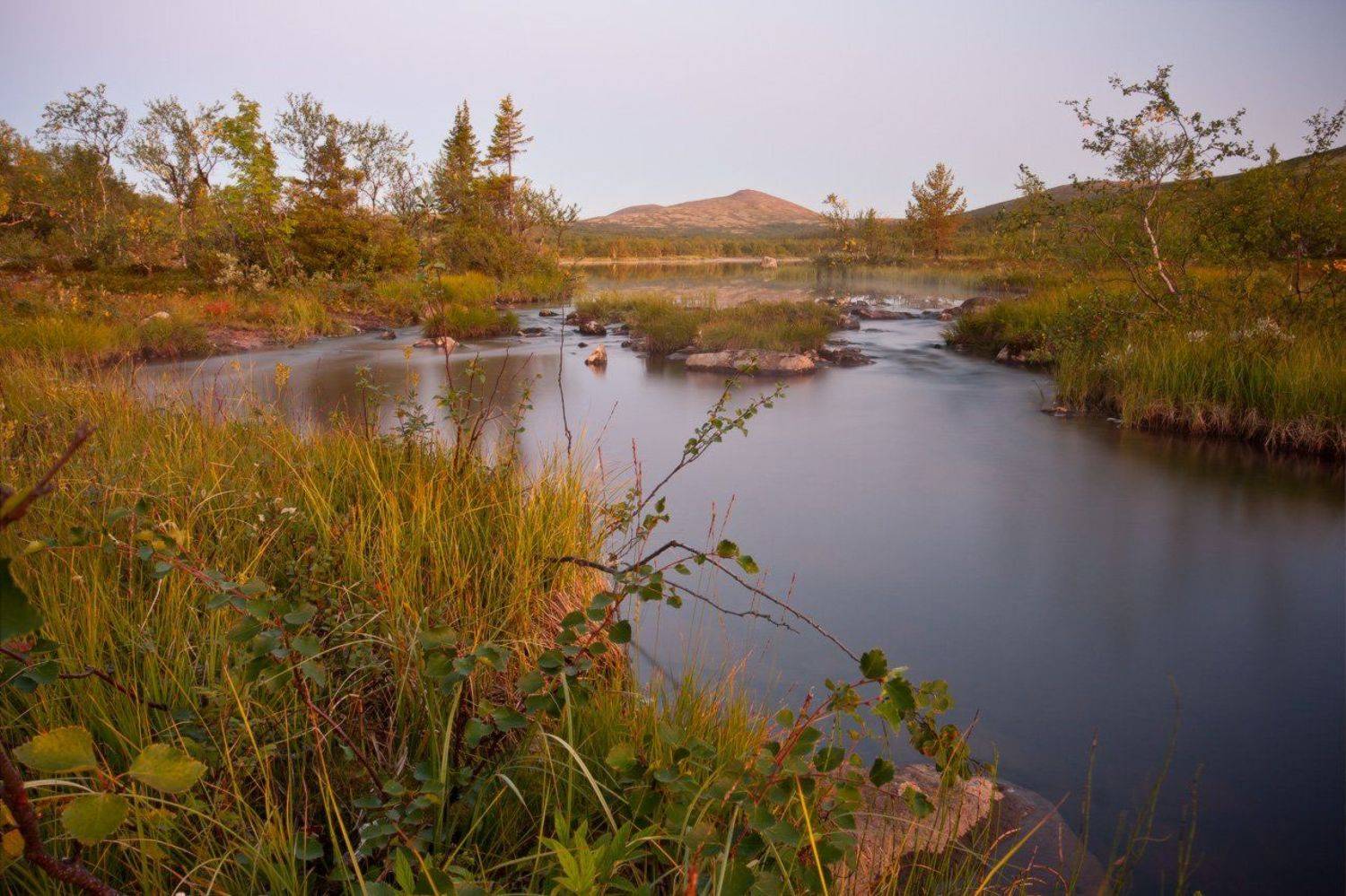 кольский, полуостров, Nikolai (locus)