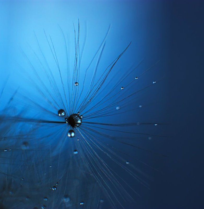 collapse фото превью