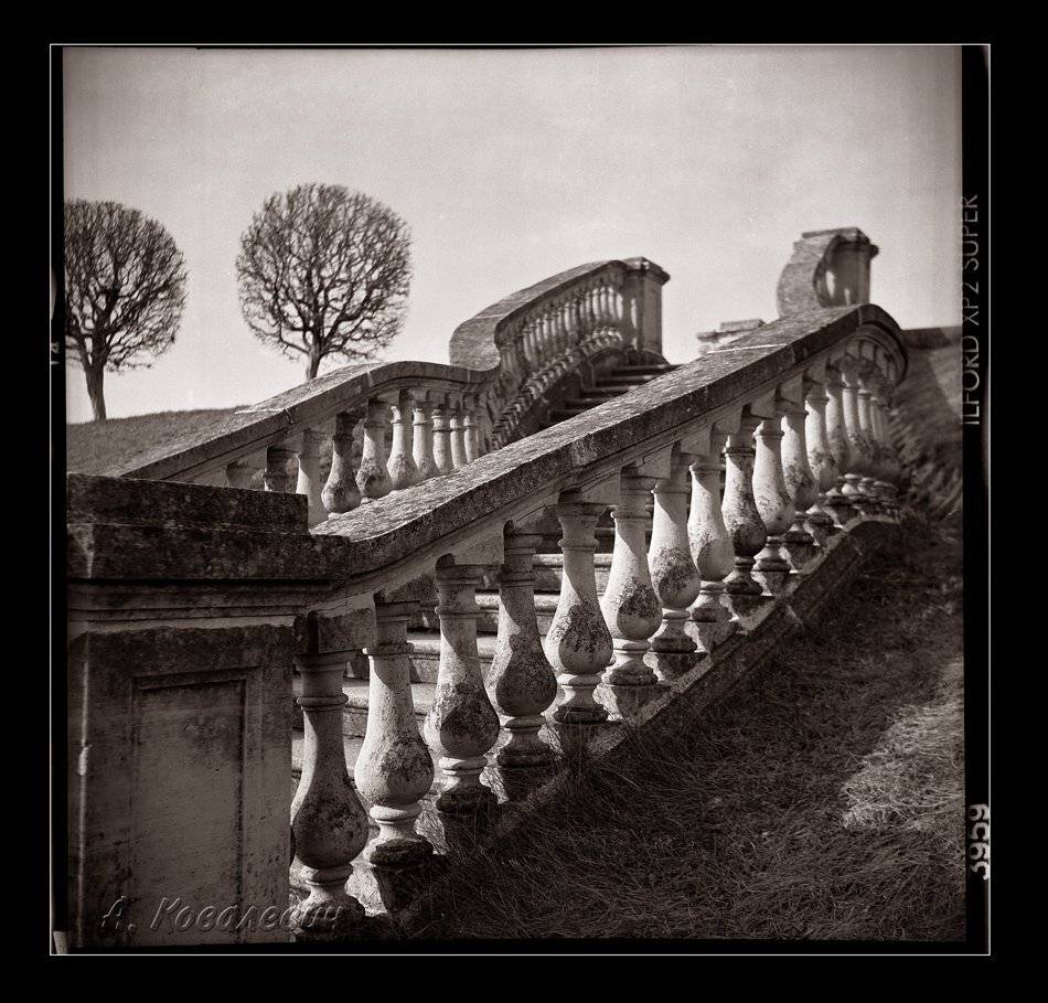 любитель-166, , ilford, xp2super, Ковалевич А.