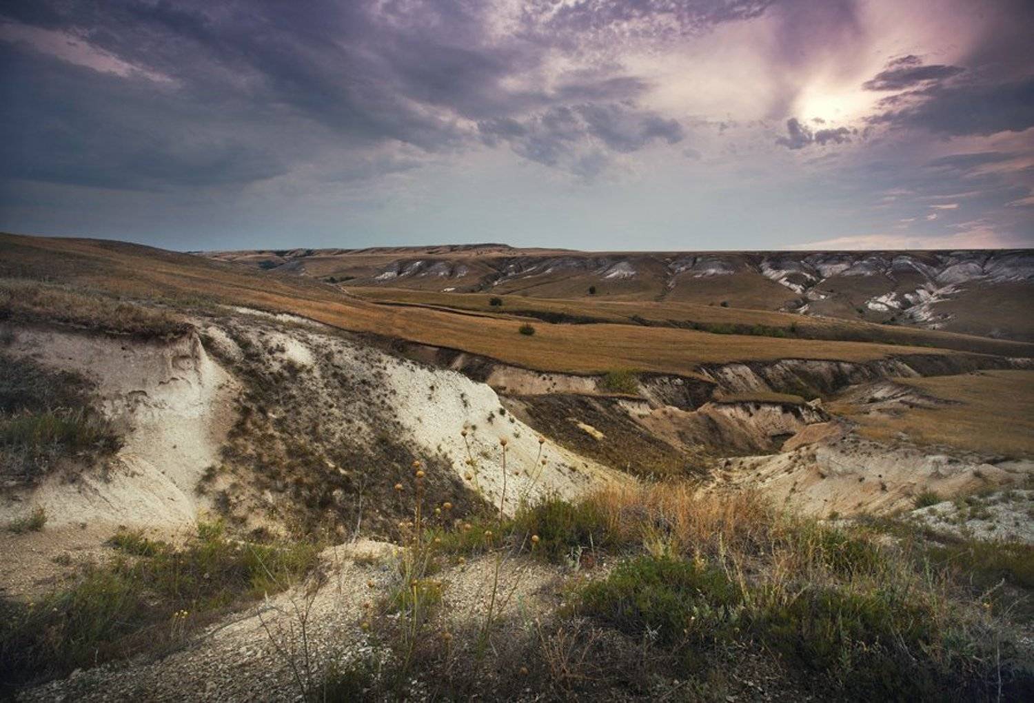 , Ольга Брага (Eglantier)