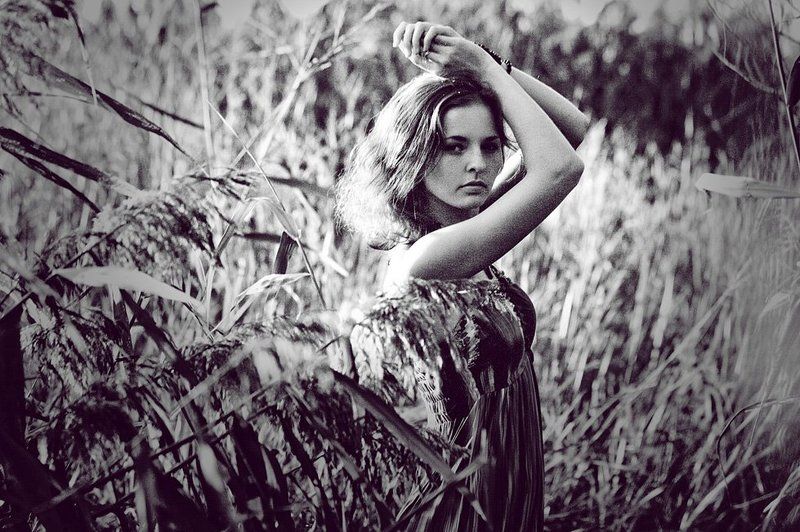 reed фото превью