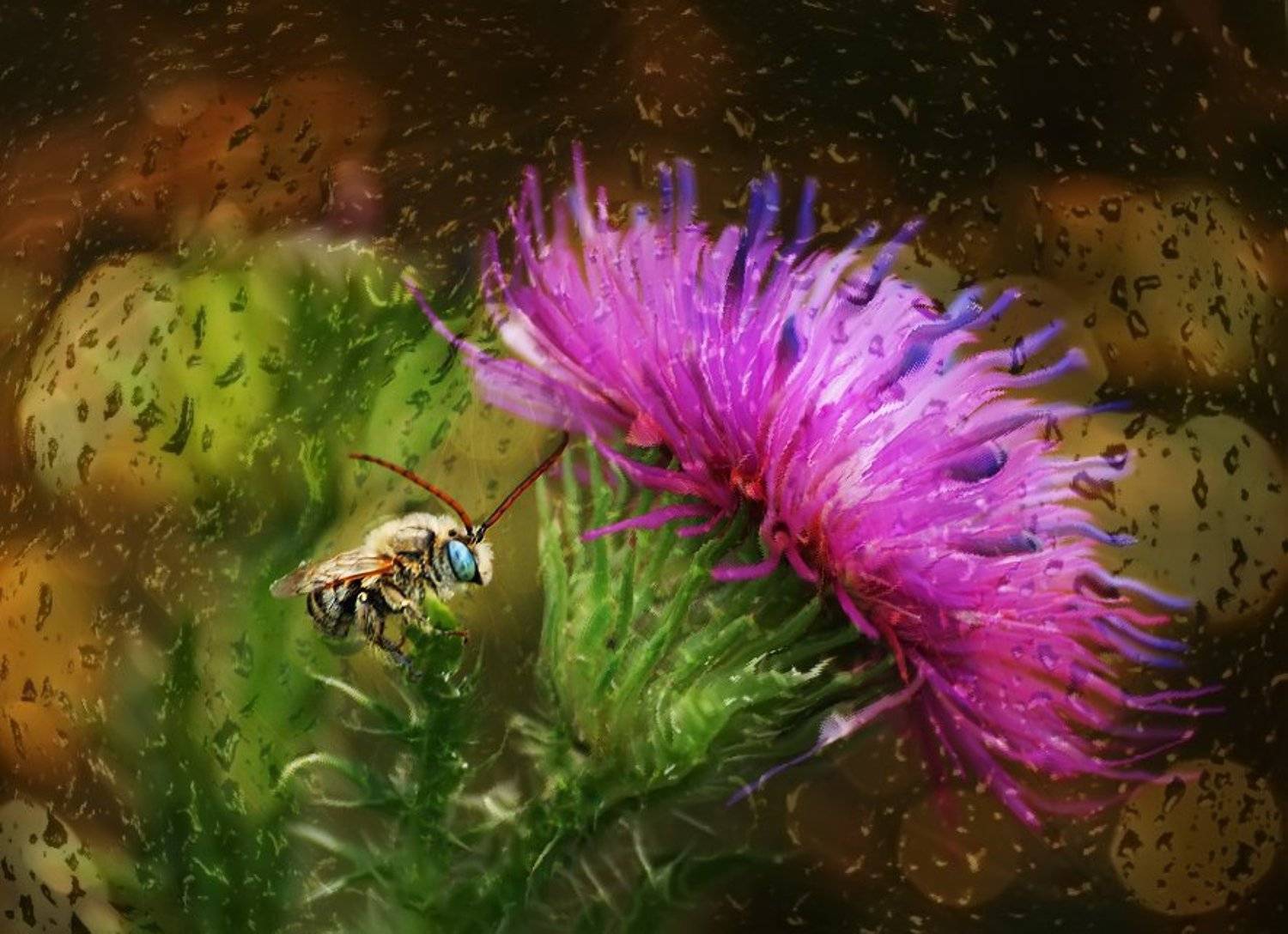 rare,  raisa rare,   лето,  розовые, Раиса Rare