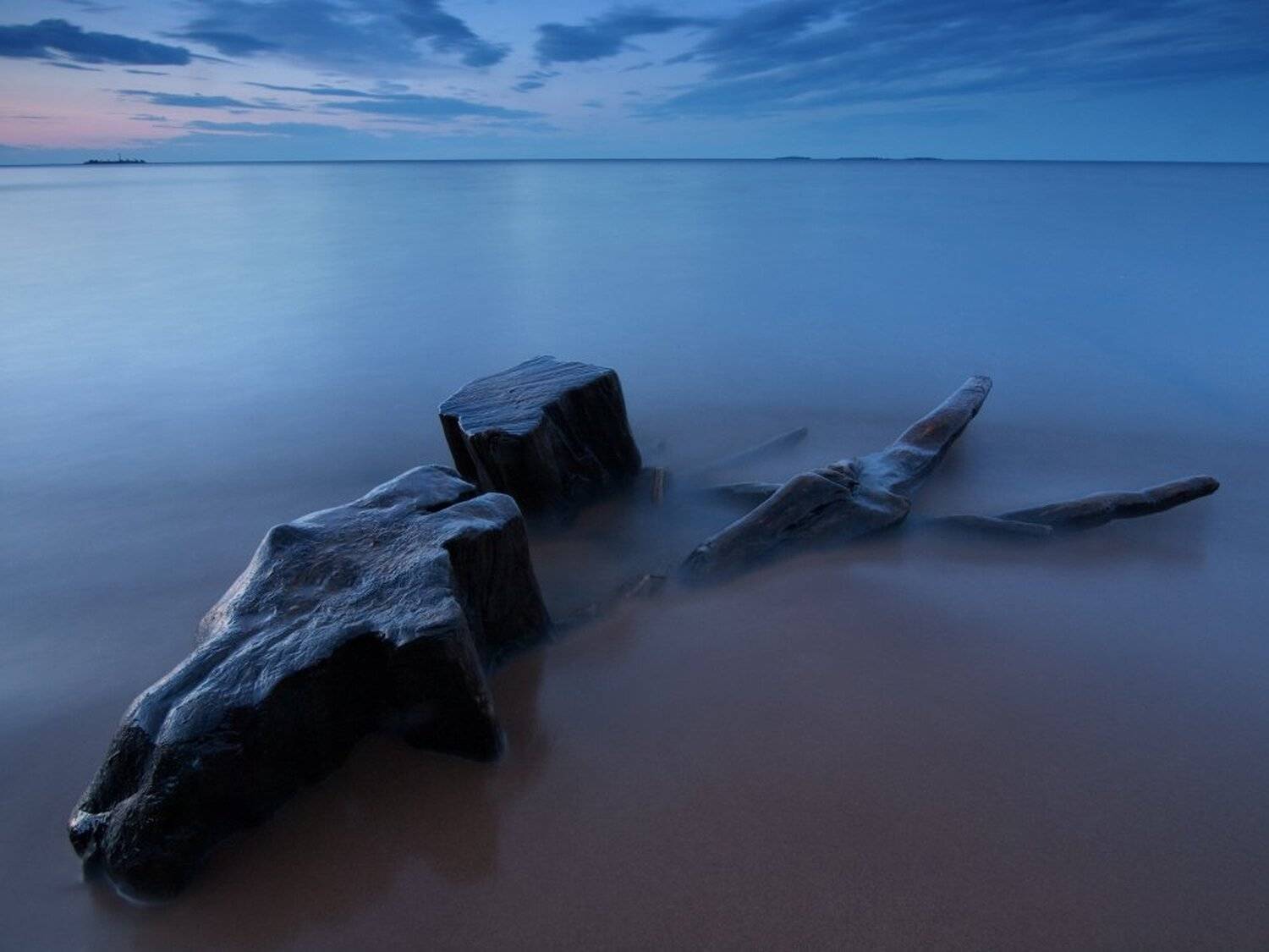 , Максим Евдокимов