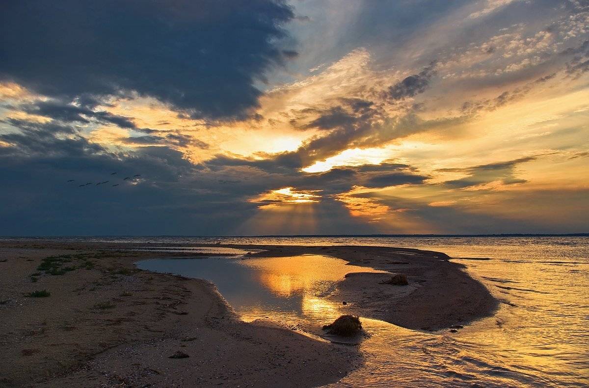 , Игорь Мелекесцев