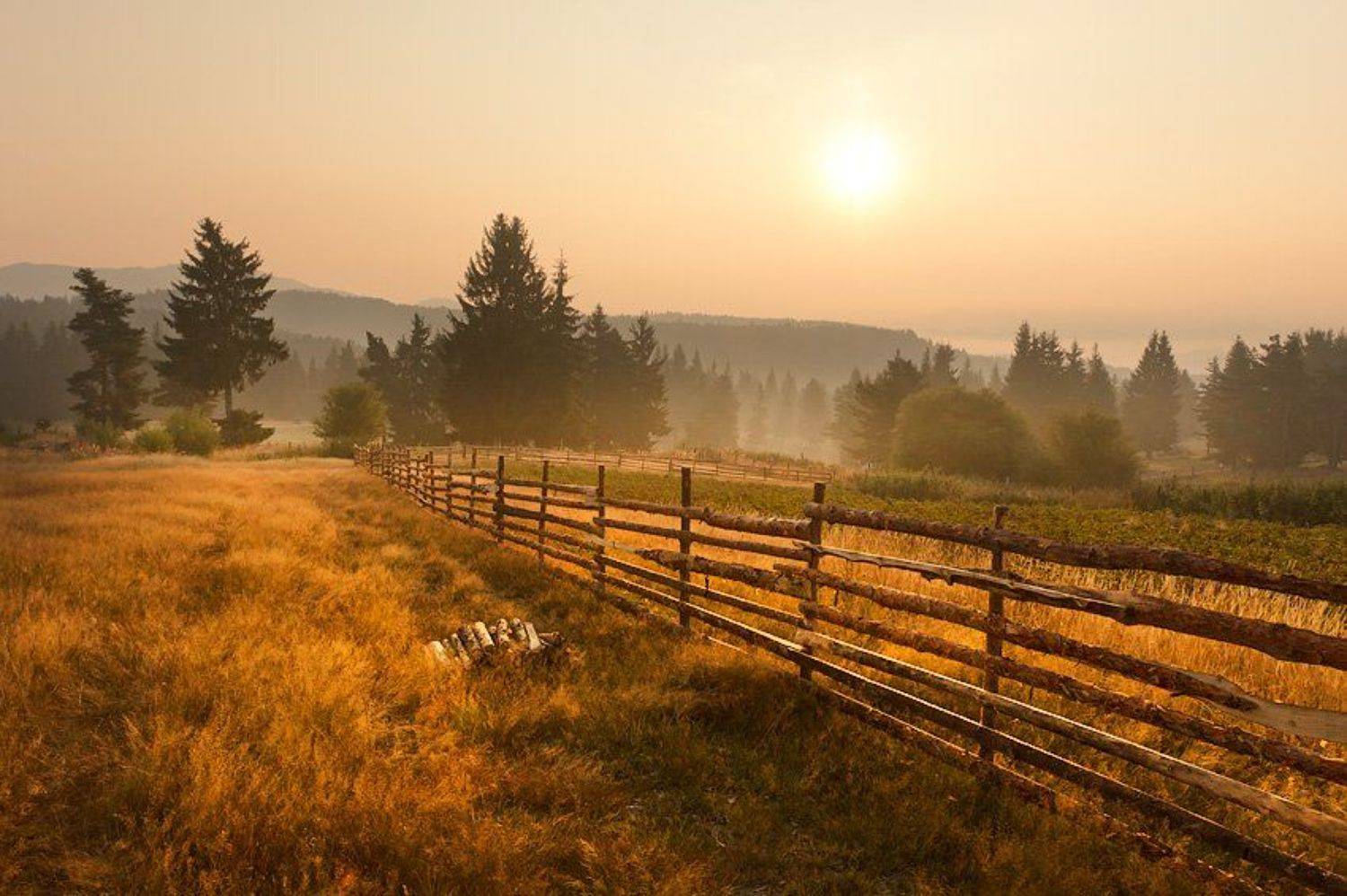 morning, fogs ,mountains, krusev, bulgaria, forest, rodopi, Petar Krusev