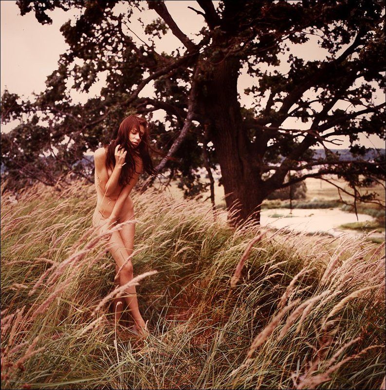 on the windy side of фото превью