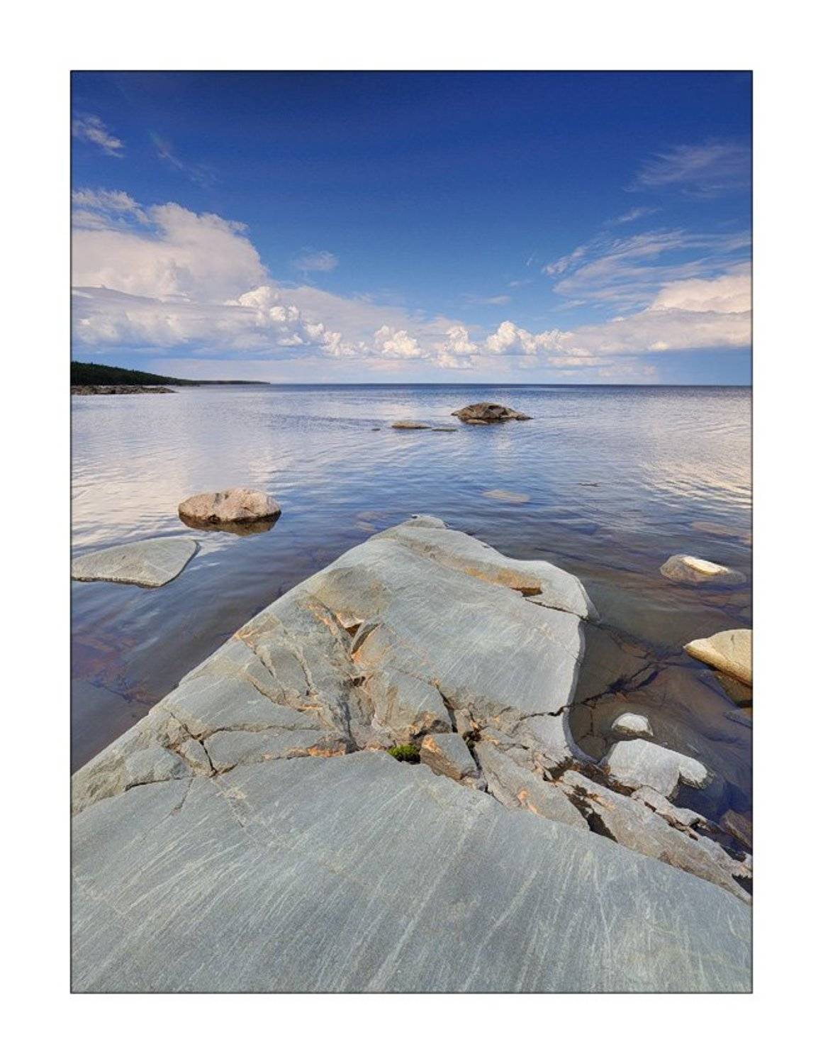 , Дмитрий Лялин