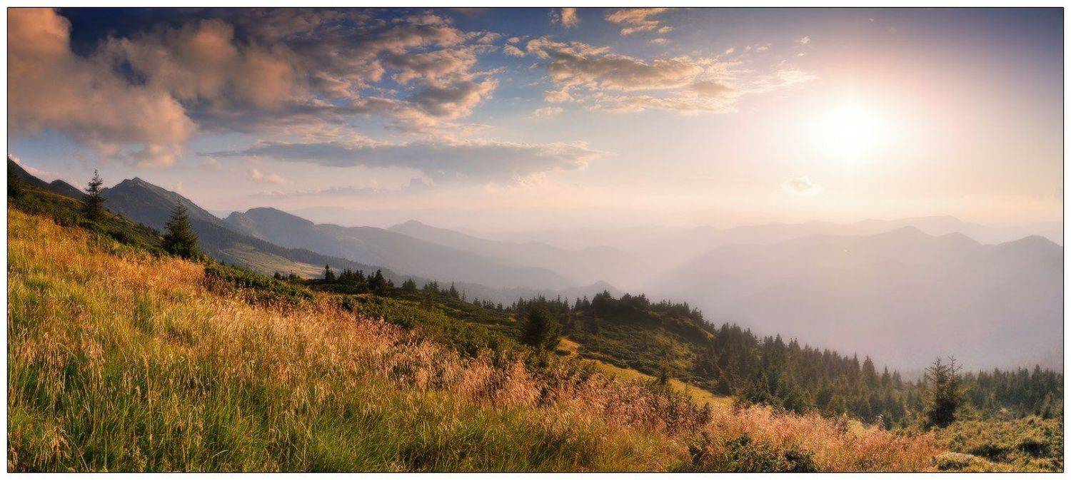 , Денис Кривой