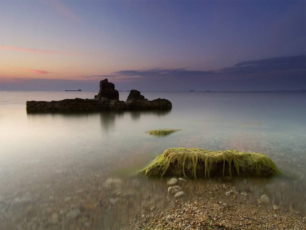 , Михаил Гапонов