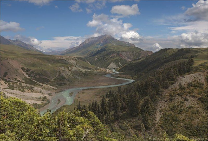 фотосафари, киргизия Киргизия в августе три фото превью