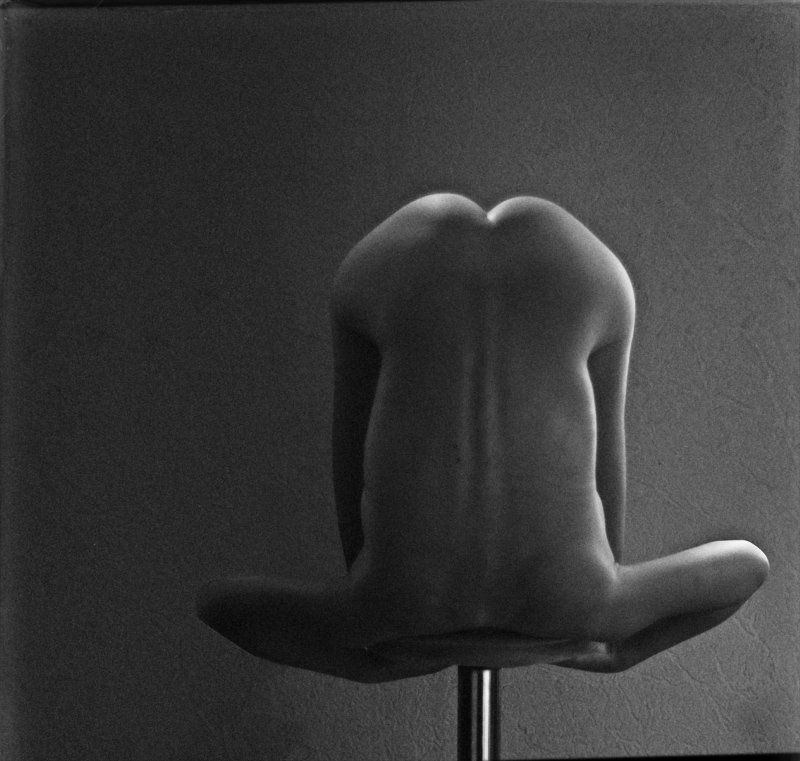 тело, женское W Body фото превью