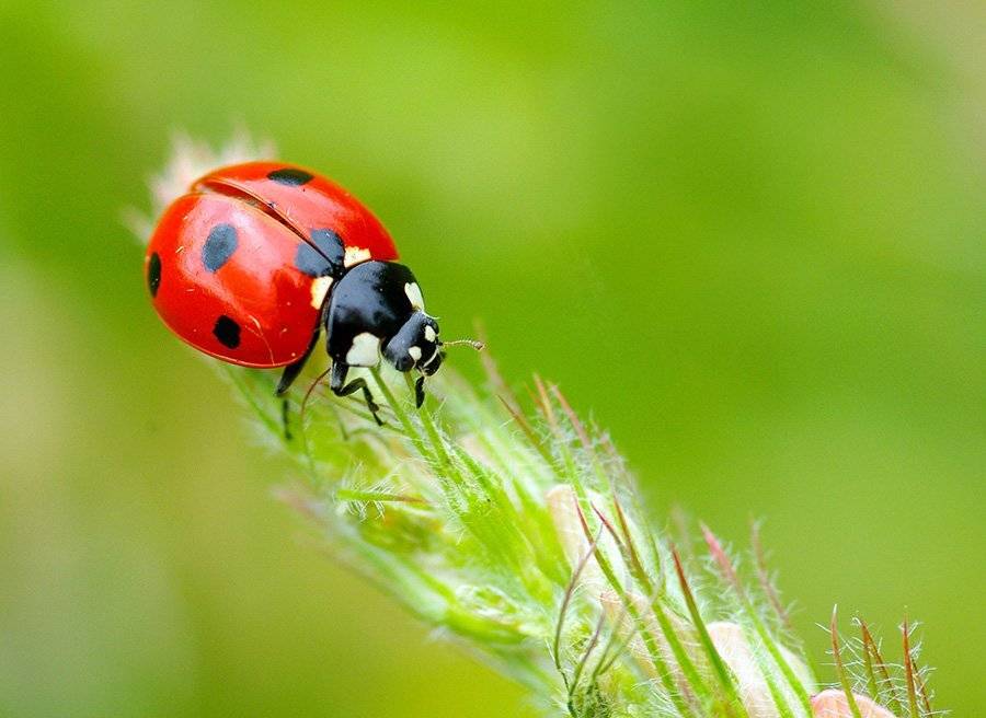 , Андрей Хитайленко