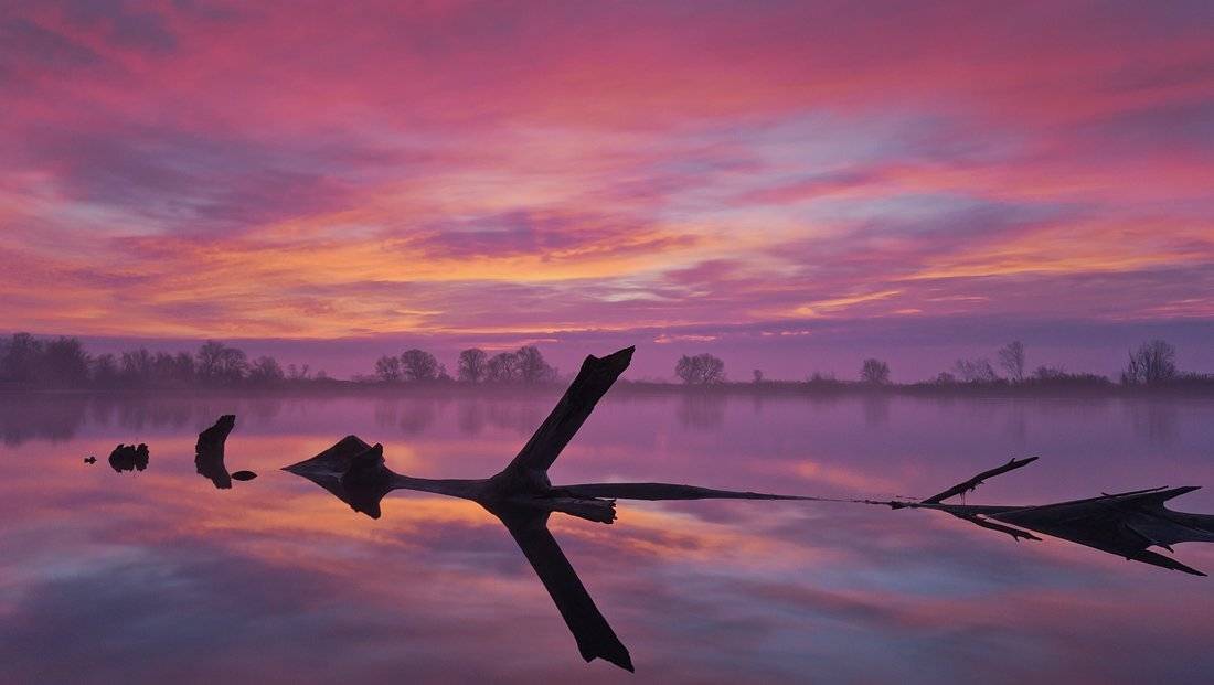 sunrise, lake, tree, m yst, Philip Peynerdjiev